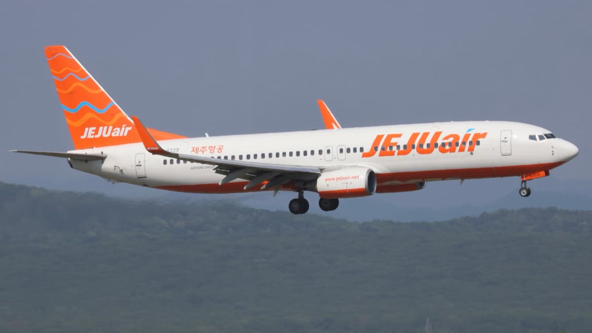 Jeju Air Boeing 737-800 (HL8339)